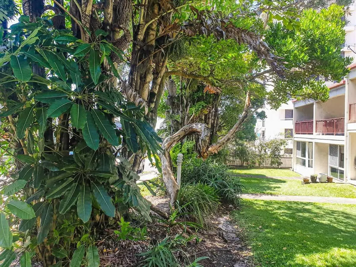 Escape To Coolum - A Vibrant Beachside Lifestyle Coolum Beach